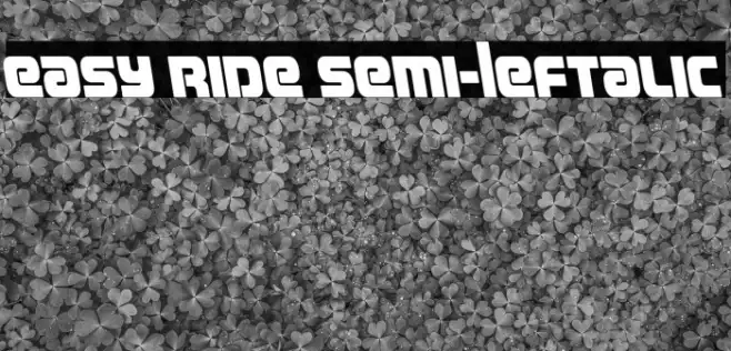 Easy Ride Semi-Leftalic Example 3