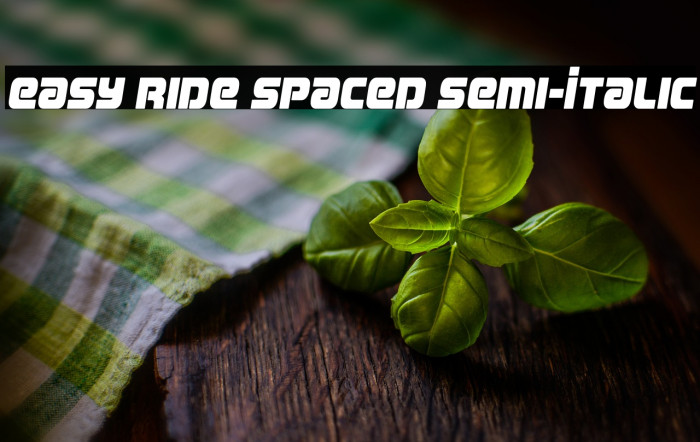 Easy Ride Spaced Semi-Italic Example 2