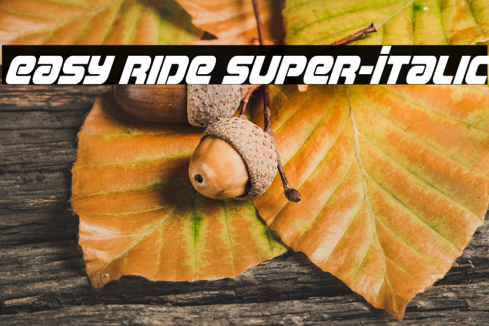 Easy Ride Super-Italic Example 3