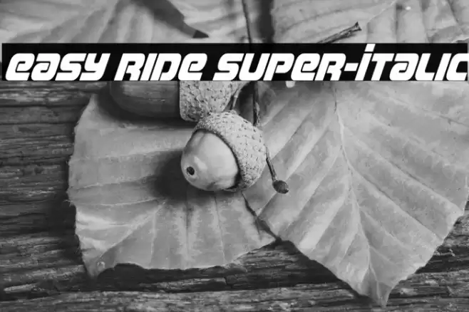 Easy Ride Super-Italic Font examples