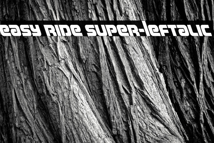 Easy Ride Super-Leftalic Example 2