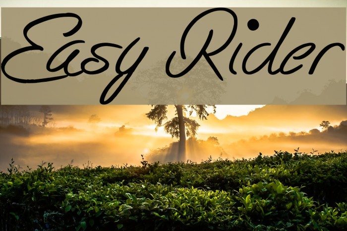 Easy Rider Font examples