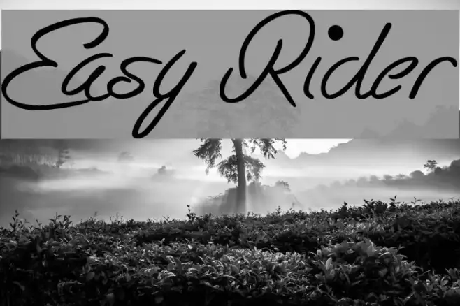 Easy Rider Example 2