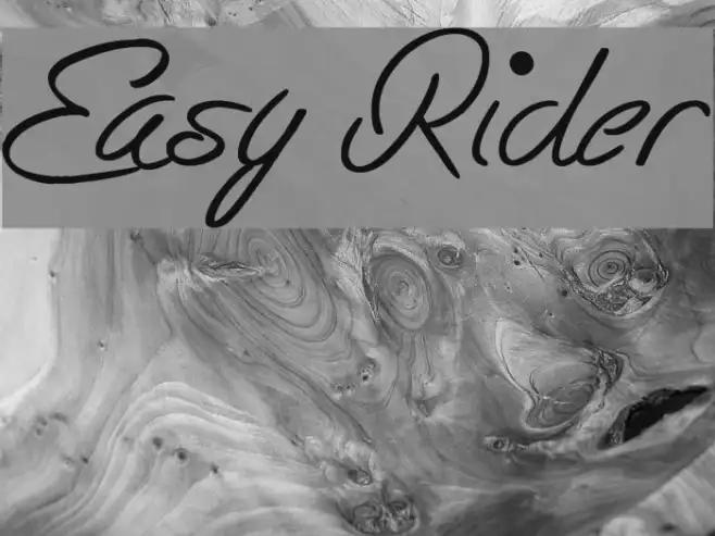 Easy Rider Example 3