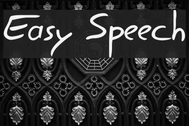 Easy Speech Example 2