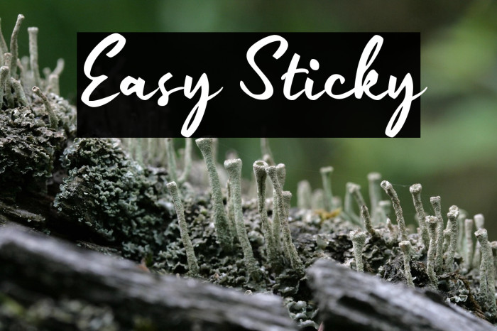 Easy Sticky Example 2