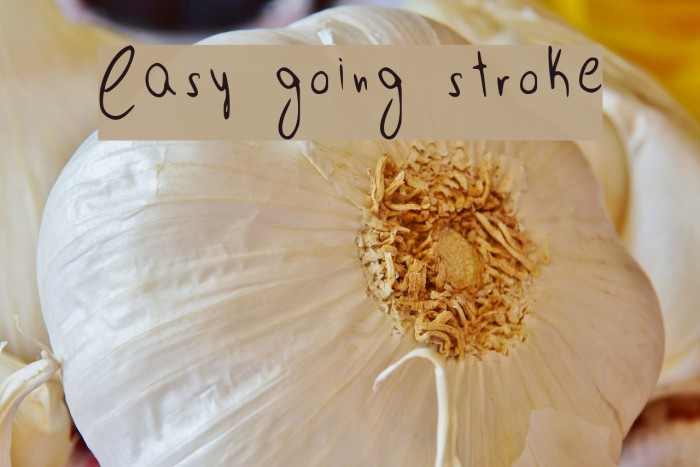 Easy going stroke Font examples