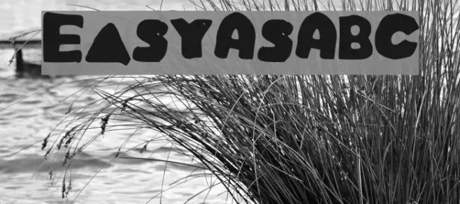 EasyAsABC Example 2
