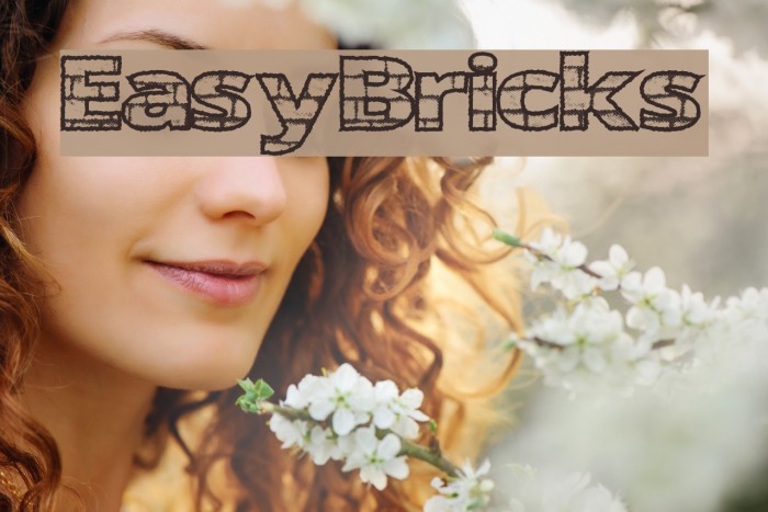 EasyBricks Caratteri examples