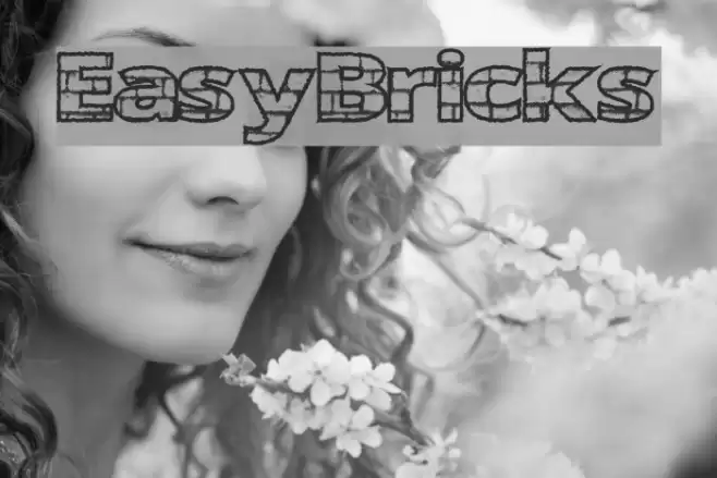 EasyBricks Font examples