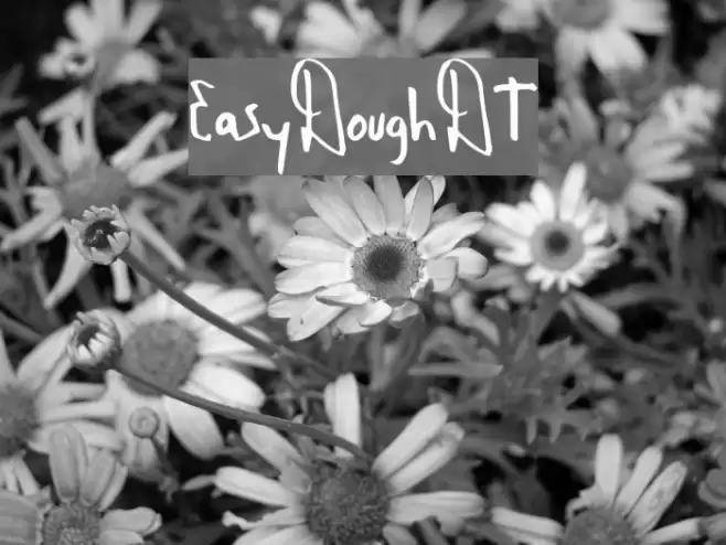 EasyDoughDT Font examples