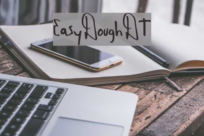 EasyDoughDT Example 3