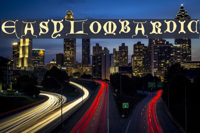 EasyLombardic Example 1