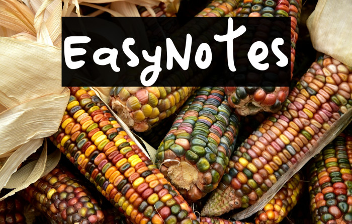EasyNotes Example 1