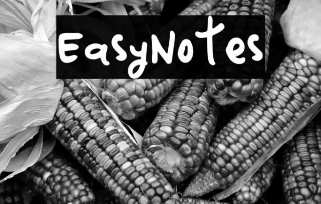 EasyNotes Font examples