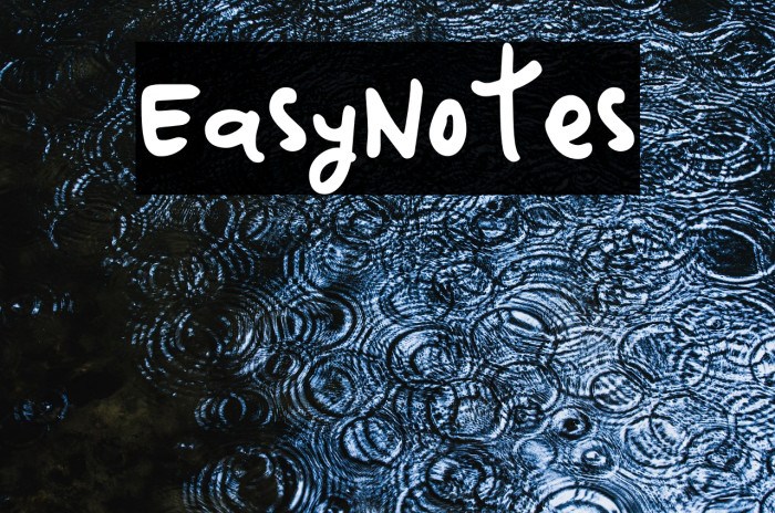 EasyNotes Example 2