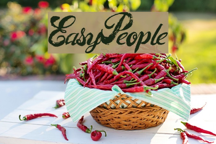 EasyPeople Example 1