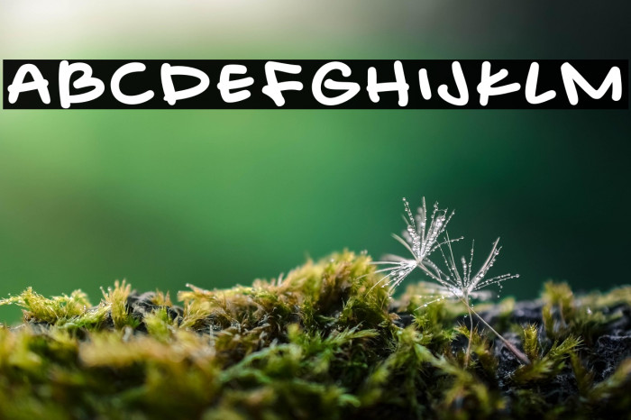 EasygoingnessDemo-Regular Example 3