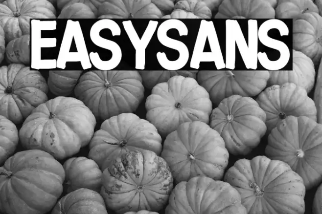 Easysans Example 2