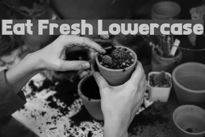 Eat Fresh Lowercase Font examples