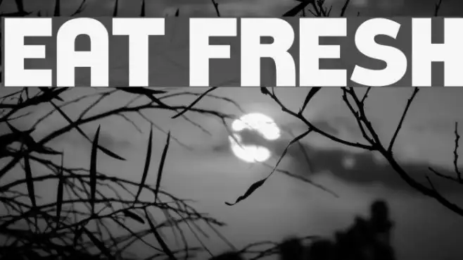 Eat Fresh Example 1