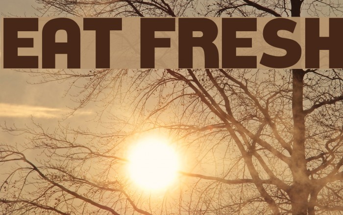 Eat Fresh Font examples