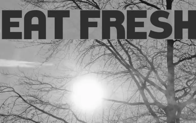 Eat Fresh Example 3