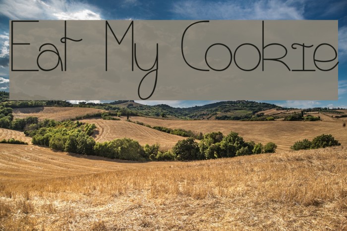 Eat My Cookie Font examples