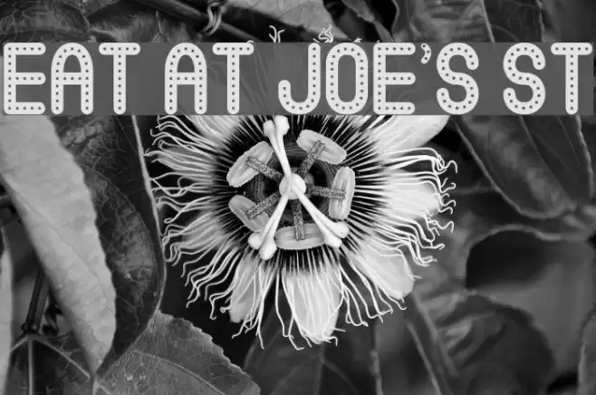 Eat at Joe's St Font examples