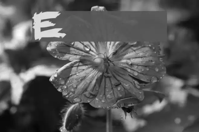 Eat your face with a fork Font examples