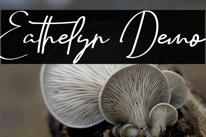 Eathelyn Demo Example 3