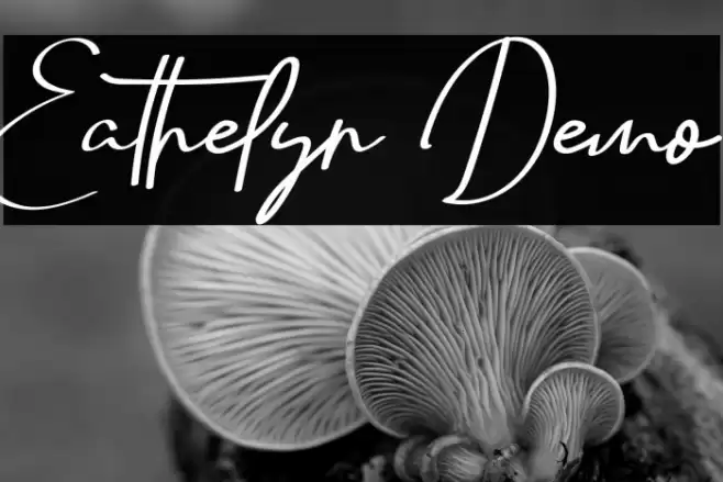 Eathelyn Demo Font examples