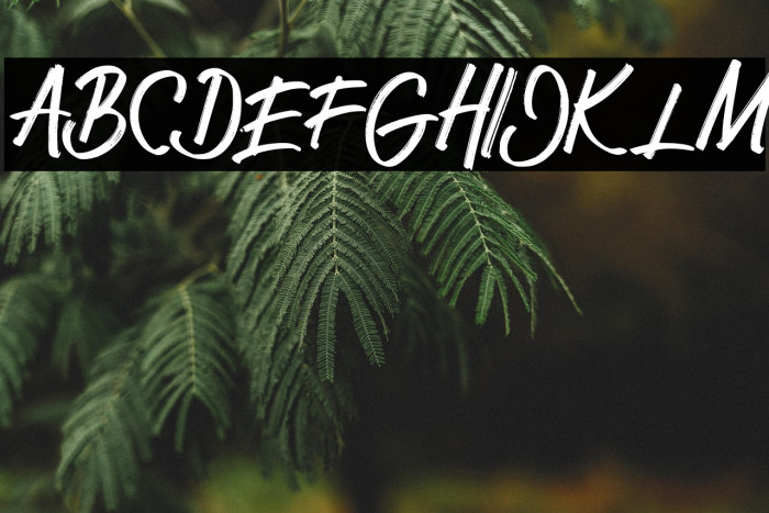 EatherFREE Example 2