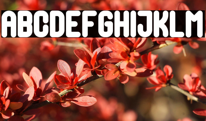 Eathoma Sans Example 2