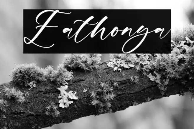 Eathonya Example 2