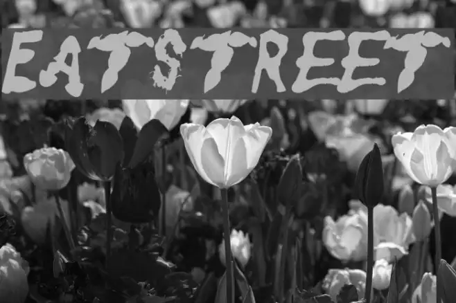 Eatstreet Example 3
