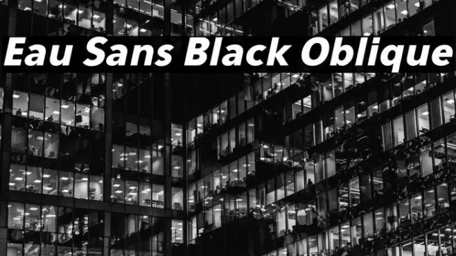 Eau Sans Black Oblique Font examples
