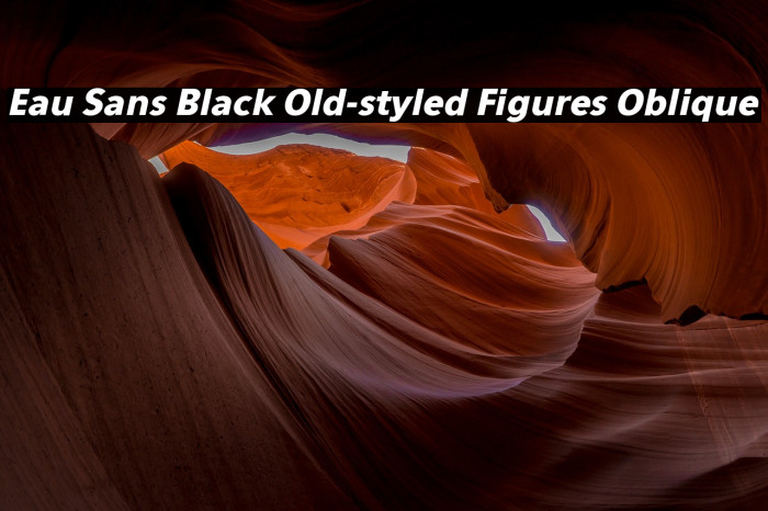 Eau Sans Black Old-styled Figures Oblique Example 1