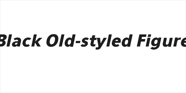 Eau Sans Black Old-styled Figures Oblique Logo