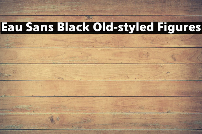 Eau Sans Black Old-styled Figures Example 1