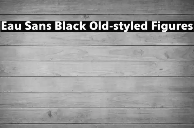 Eau Sans Black Old-styled Figures Font examples