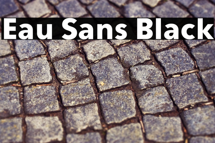 Eau Sans Black Example 1