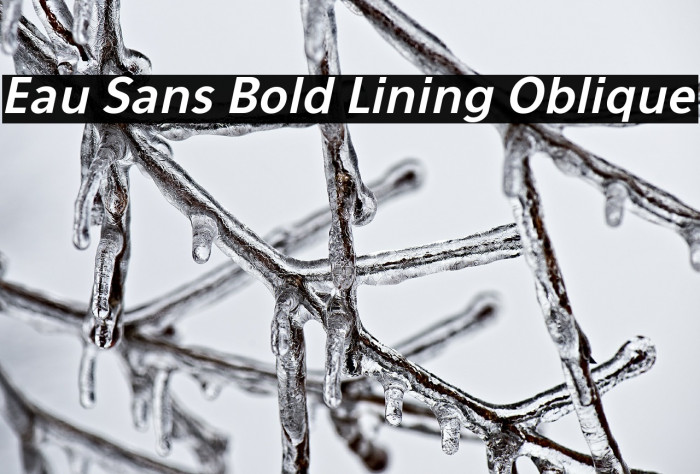 Eau Sans Bold Lining Oblique Example 1