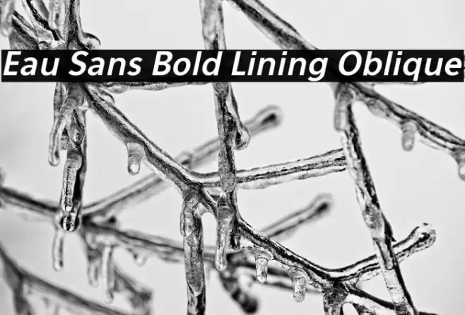 Eau Sans Bold Lining Oblique Font examples