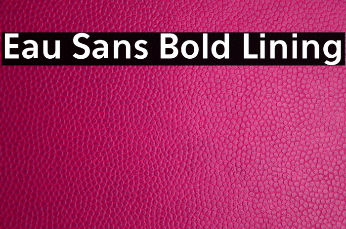 Eau Sans Bold Lining Example 1