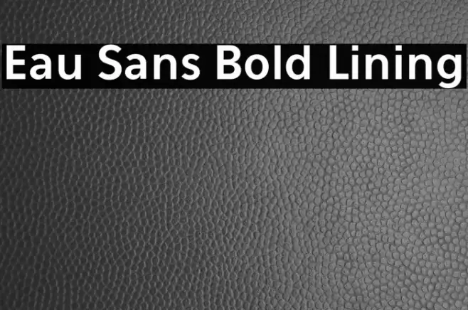 Eau Sans Bold Lining Font examples