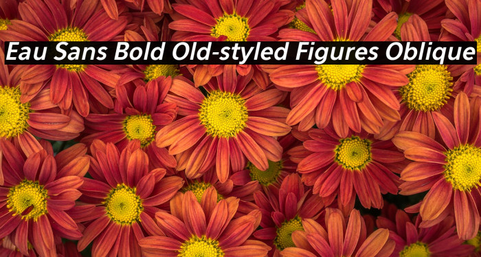 Eau Sans Bold Old-styled Figures Oblique Font examples