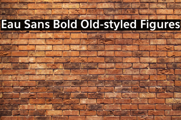 Eau Sans Bold Old-styled Figures Example 1