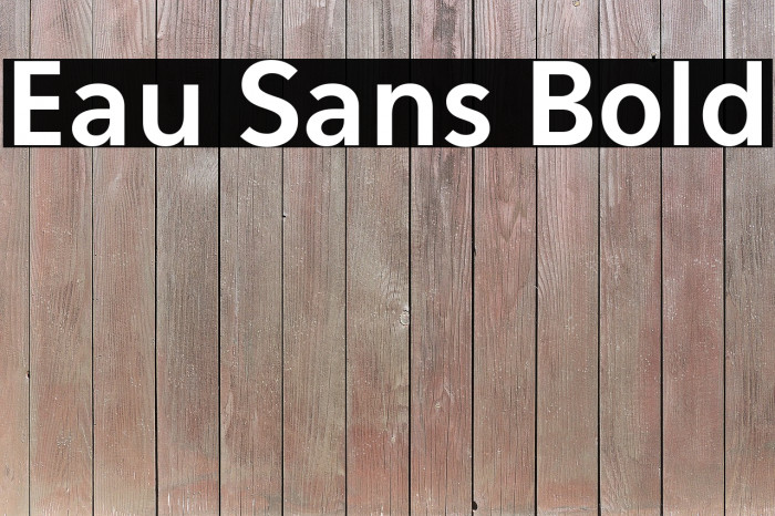 Bold sans