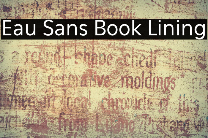 Eau Sans Book Lining Font examples